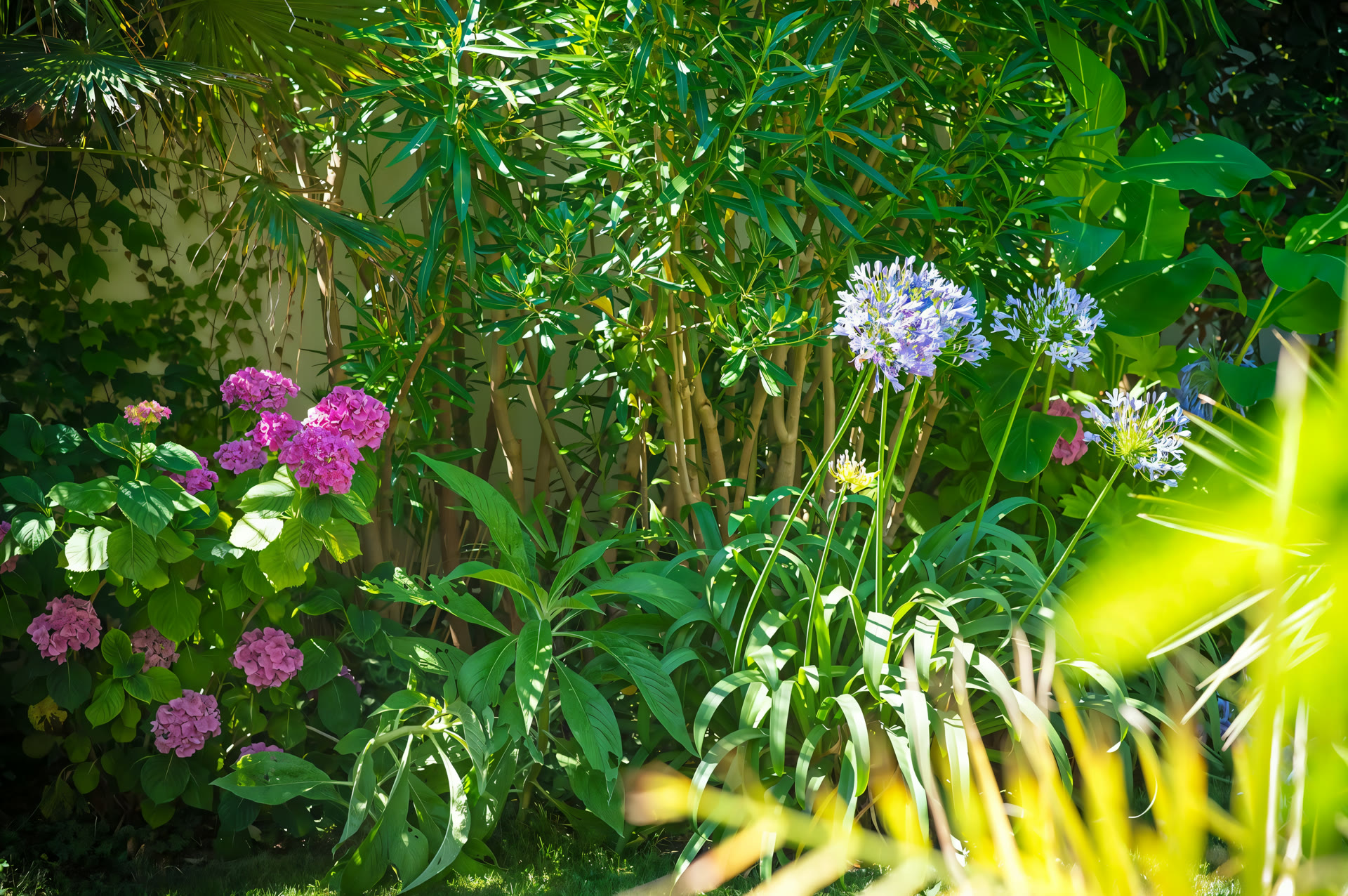 Le jardin exotique